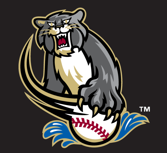 Sacramento River Cats 2000-2006 Cap Logo 3 iron on paper